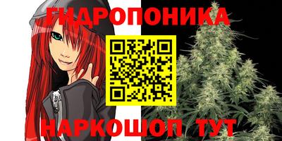 СК Будённовск