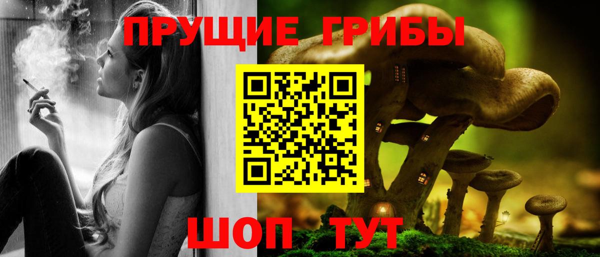 где продают   Вход с VPN  Малгобек  Псилоцибиновые грибы Magic Shrooms 